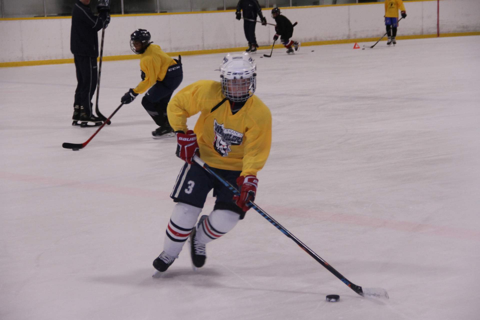 Skills development