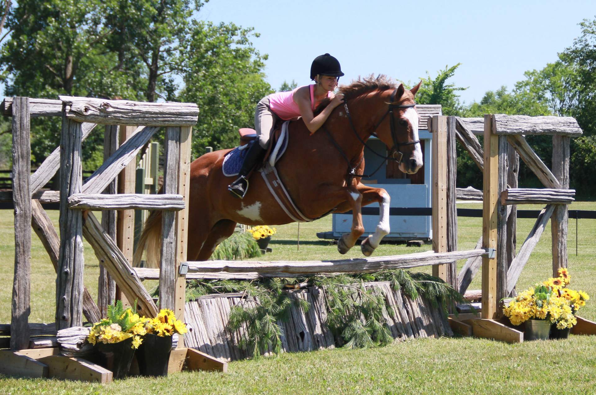 Horse camps